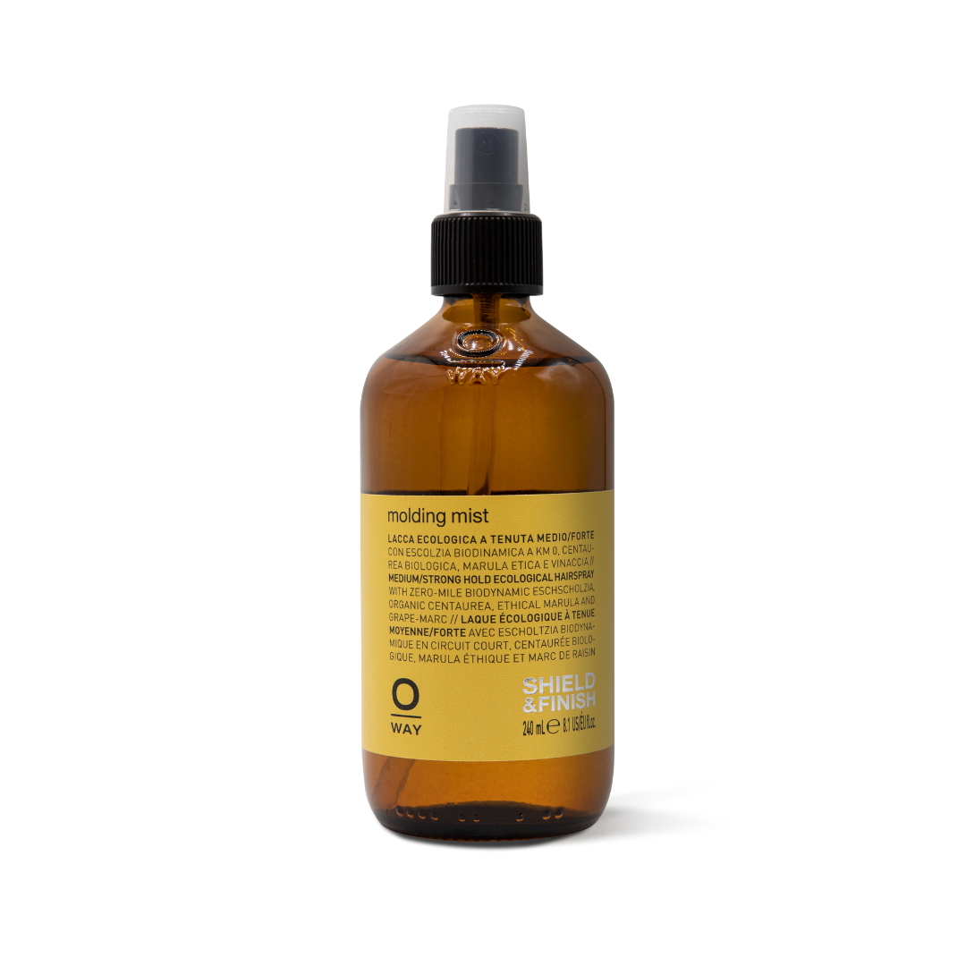 Molding Mist 240ml