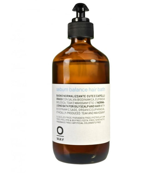 REBALANCING Sebum balance hair bath 240ML